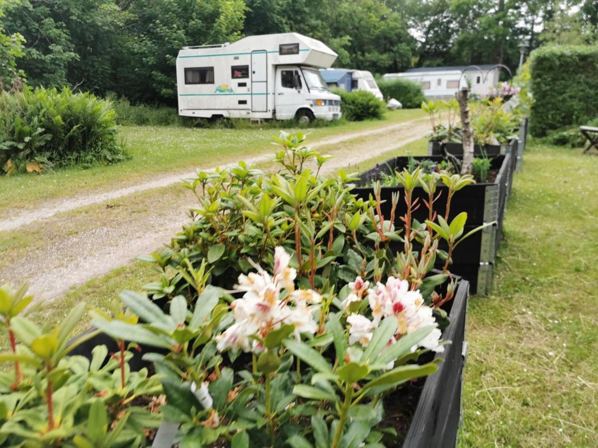 Frederiksvaerk Camping & Hostel Εξωτερικό φωτογραφία