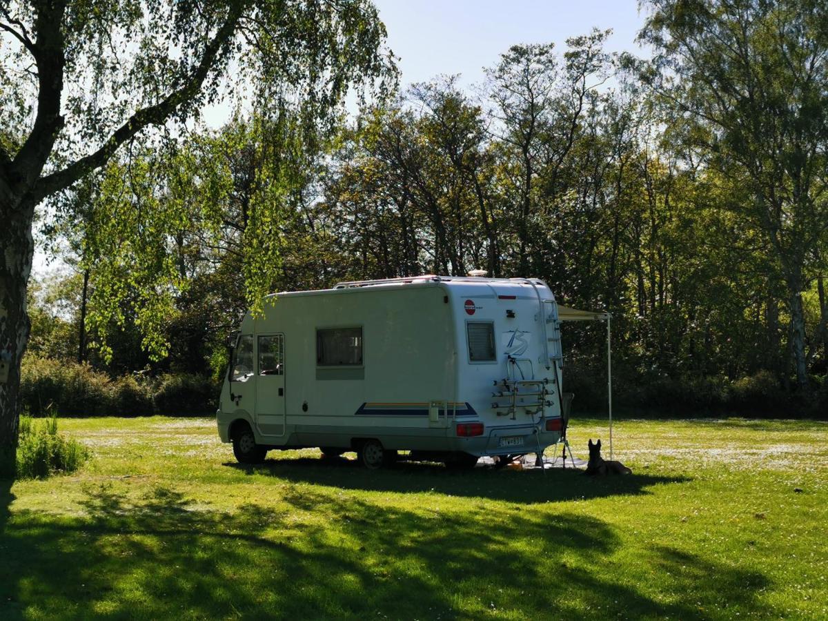 Frederiksvaerk Camping & Hostel Εξωτερικό φωτογραφία