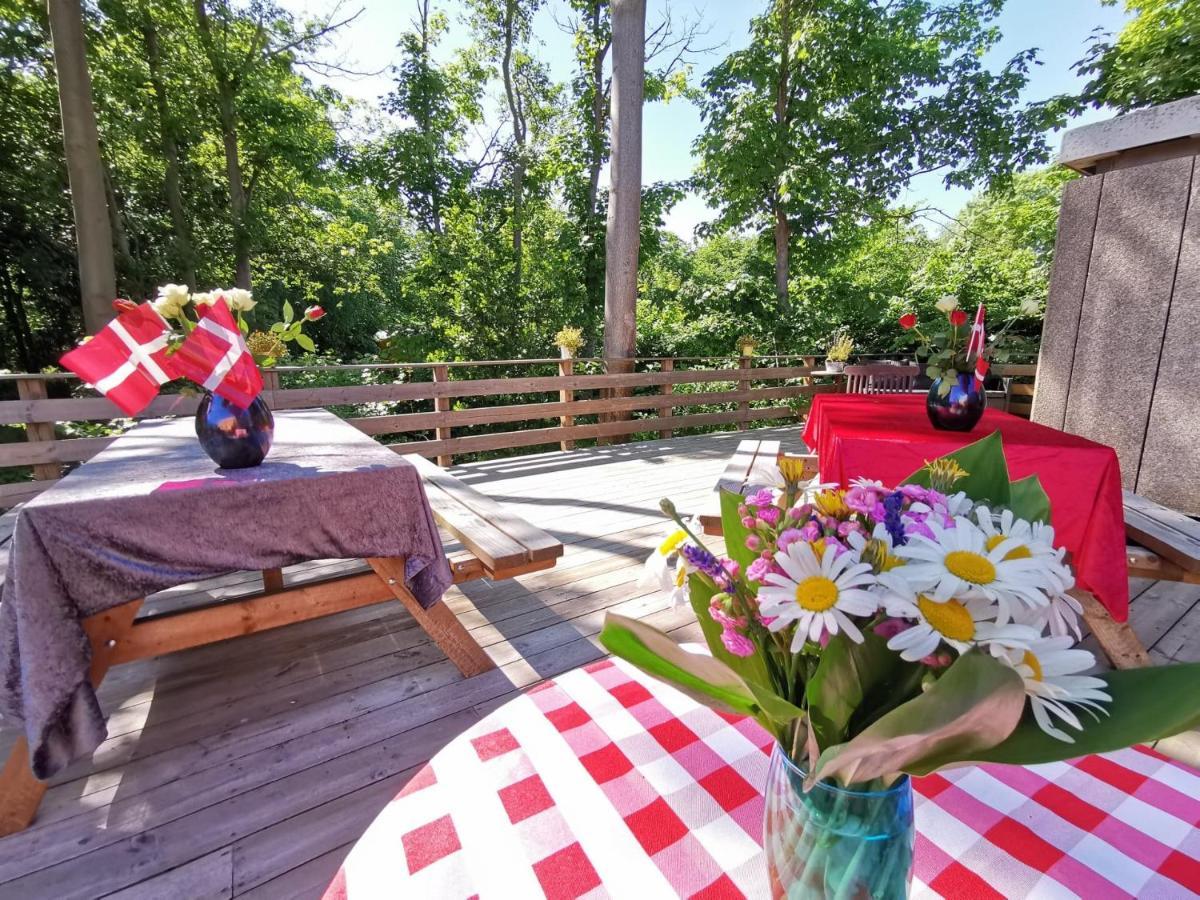 Frederiksvaerk Camping & Hostel Εξωτερικό φωτογραφία